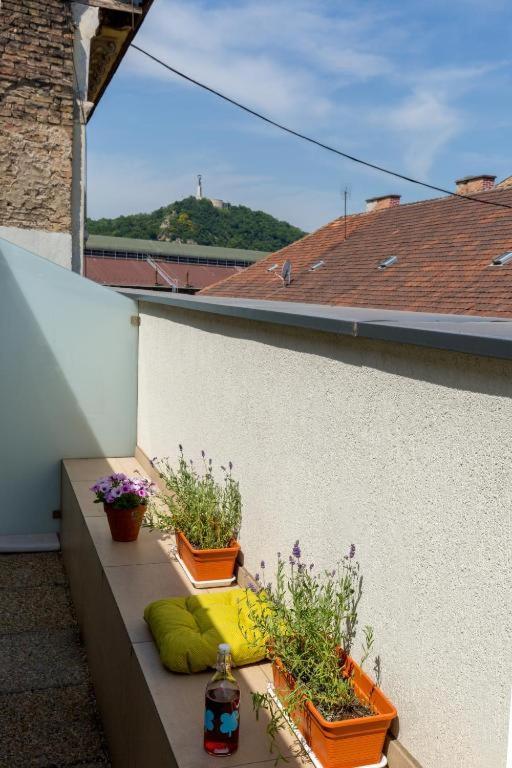 Erkel Rooftop Suites ブダペスト エクステリア 写真